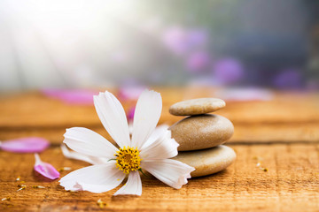 Spa still life composition with massage stones and white flower