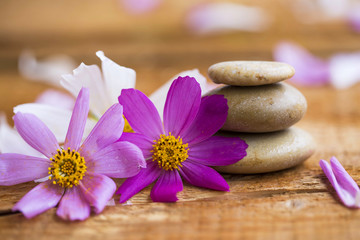 Spa still life with flowers and massage stones