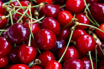 Ripe cherries heap
