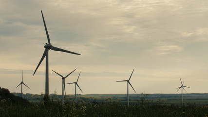 Wind turbines in the field, overcast. Clean and Renewable Energy, Wind Power, Turbine, Windmill, Energy Production