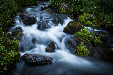 Natural Stream