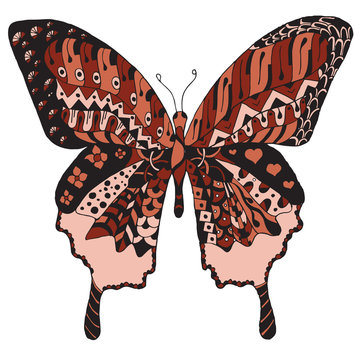 Artistically hand drawn, zentangle stylized butterfly vector, illustration, freehand pencil.
