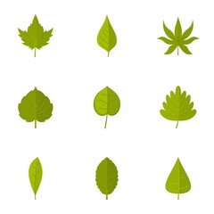 Summer leaf icons set, flat style