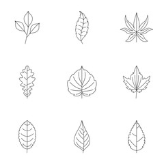 Obraz premium Summer leaf icons set, outline style