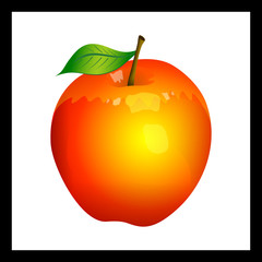 Red apple vector illustration