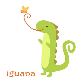 animals set - iguana