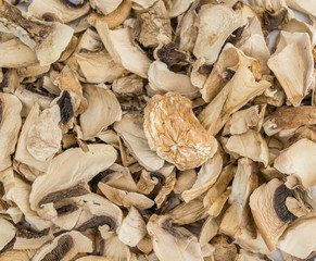 Portion of Dried white Mushrooms