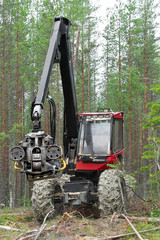Timber harvester working in a forest. Northern Karelia, Russia