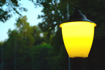 Park background