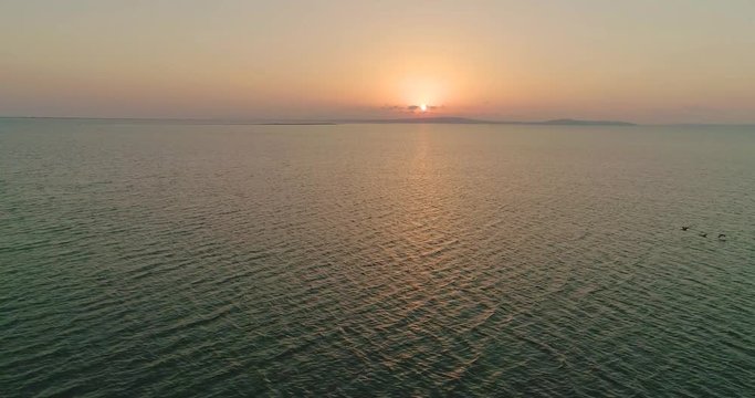Aerial drone view of flock of birds flying away under the sea at the sunset.