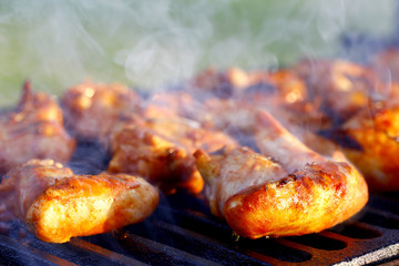 chicken wings are fried on the grill