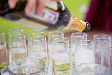 a row of glasses filled with champagne are lined up