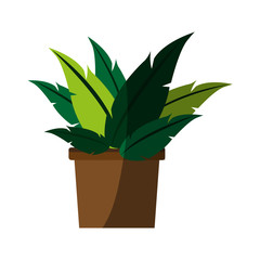 plant in pot icon image vector illustration design