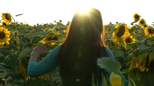 pretty girl running on yellow sunflower field