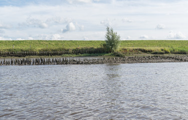 Ufer der Eider in Schleswig-Holstein