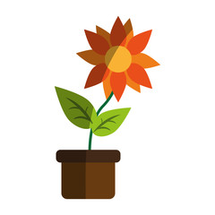 flower in pot icon image vector illustration design