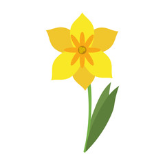 yellow delicate flower icon image vector illustration design