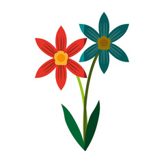 orange and teal delicate flower icon image vector illustration design
