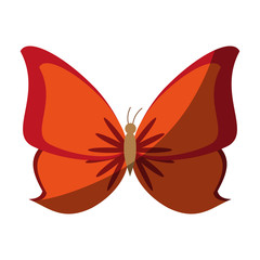 butterfly insect icon image vector illustration design