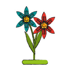 small delicate flowers icon image vector illustration design