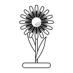 delicate flower icon image vector illustration design