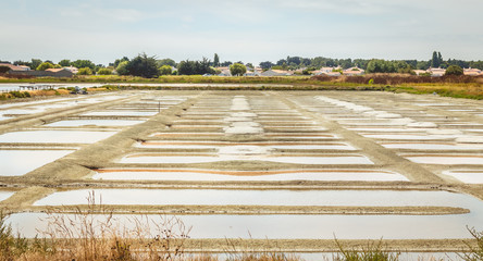 Traditional salt marsh of Noirmoutier during the salt harvest