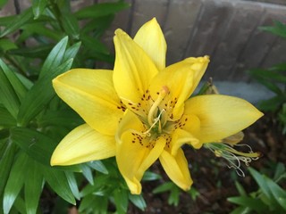 Can't get enough of the beauty of these diverse flowers