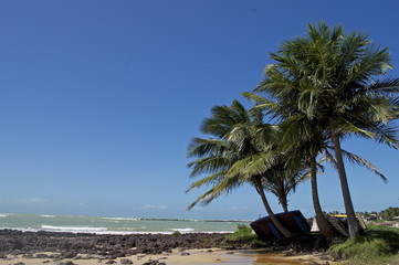 Obraz premium Praia de Búzio. Brasil