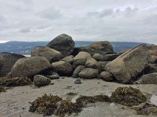 Rocks on the Beach