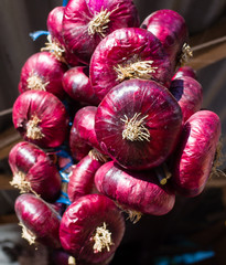 A bunch of red onions