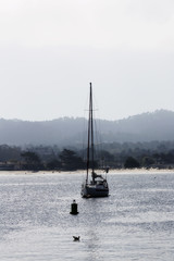 Sailboat Moored To Buoy In Monterey Bay California