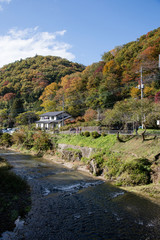 Autumun River