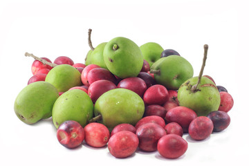 Naklejka na ściany i meble Berry red and olive properties medicinal