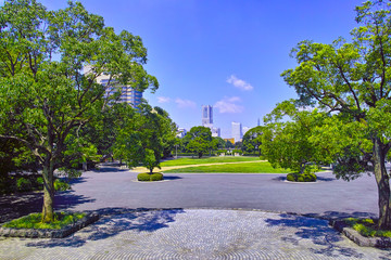 夏の山下公園とみなとみらいの町並み