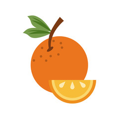 orange fruit icon image vector illustration design 