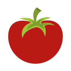 whole tomato icon image vector illustration design 