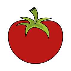 whole tomato icon image vector illustration design 