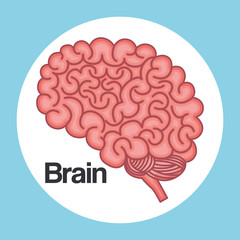 brain think idea creative innovation vector illustration