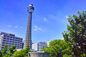 夏の山下公園から見る横浜マリンタワー