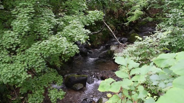 mountain stram