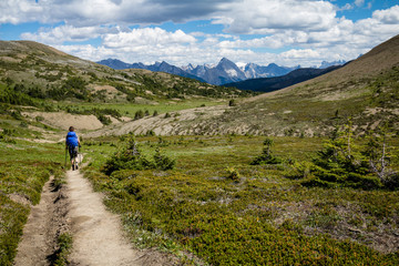 Fototapeta na wymiar Person hiking through alpine meadow with mountains