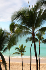 Obraz premium Tropical Beach and Palm Trees