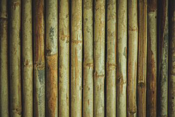 Bamboo fence wall background and texture.