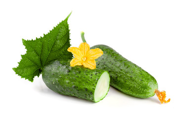cucumber with leaf and flower isolated on a white background