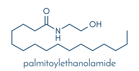 Palmitoylethanolamide (PEA) drug molecule. Skeletal formula.