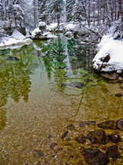 Winter reflections in a cold mountain stream, river Sava near lake Bohinj, Slovenian Alps, Slovenia