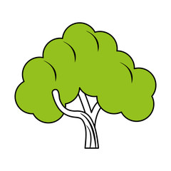 Flat line tree with hint of color over white background vector illustration