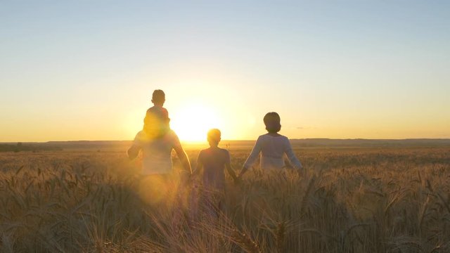 Happy family father mom and two sons walking in a wheat field and watching the sunset