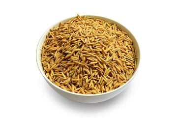 Cup of rice paddy background, Cup of rice on white background.