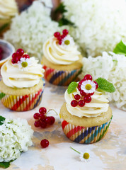 Gentle cupcake with cream and berries on a light background